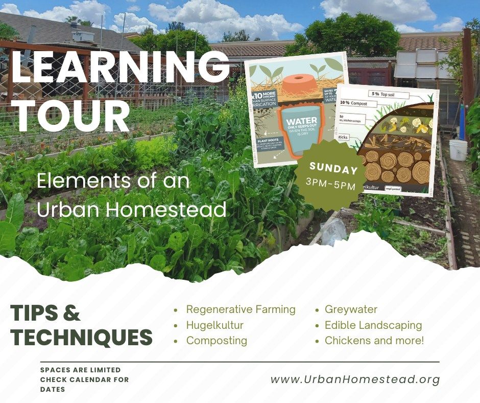 Urban Homestead Learning Tour - July 14  (3pm-5pm)