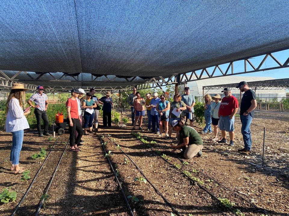Gardening 101, Arizona Worm Farm, Phoenix, 3 December 2022