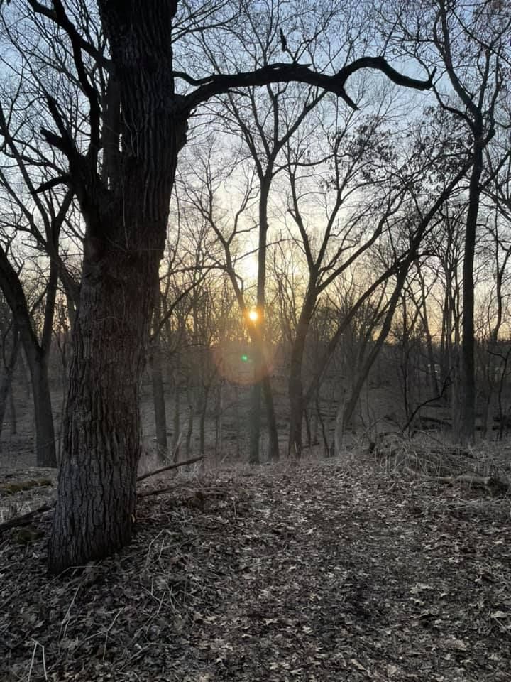 Natural Path Sanctuary Walking Tour 