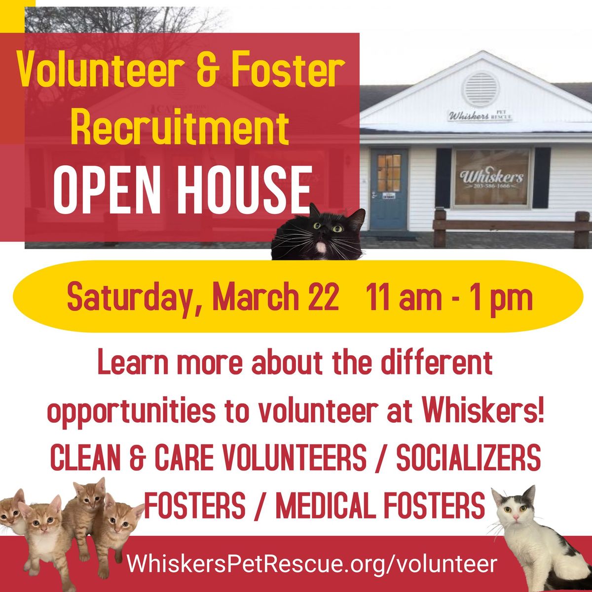 Whiskers Volunteer & Foster Recruitment Open House