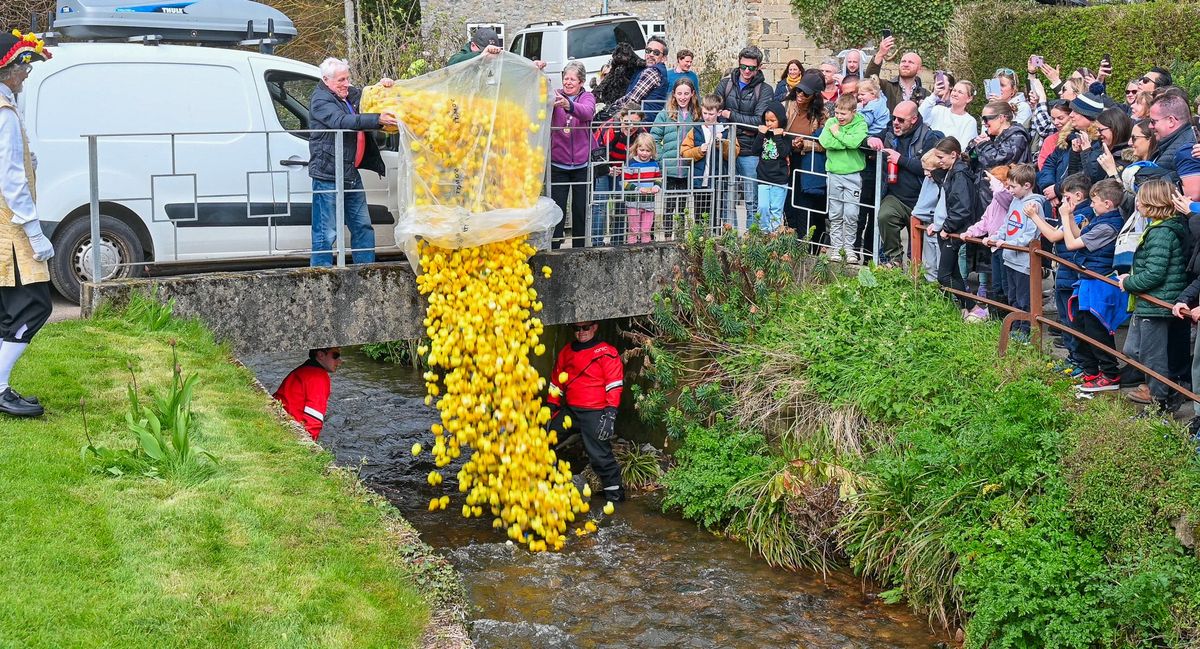 Lyme Regis New Year's Day Duck Race