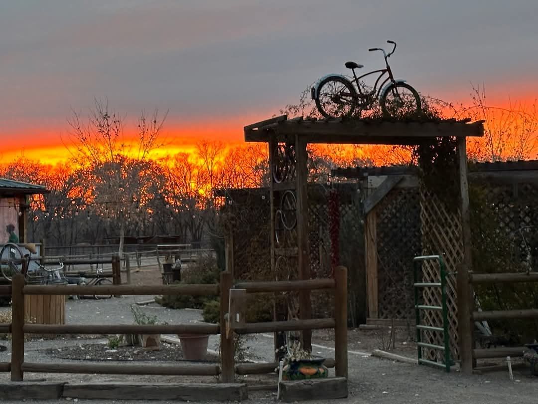 Bike In Coffee - Old Town Farm - Albuquerque, NM