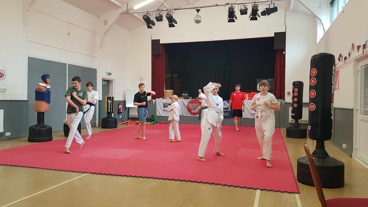 Blade Taekwondo GBR - Kup Grading Oct 24