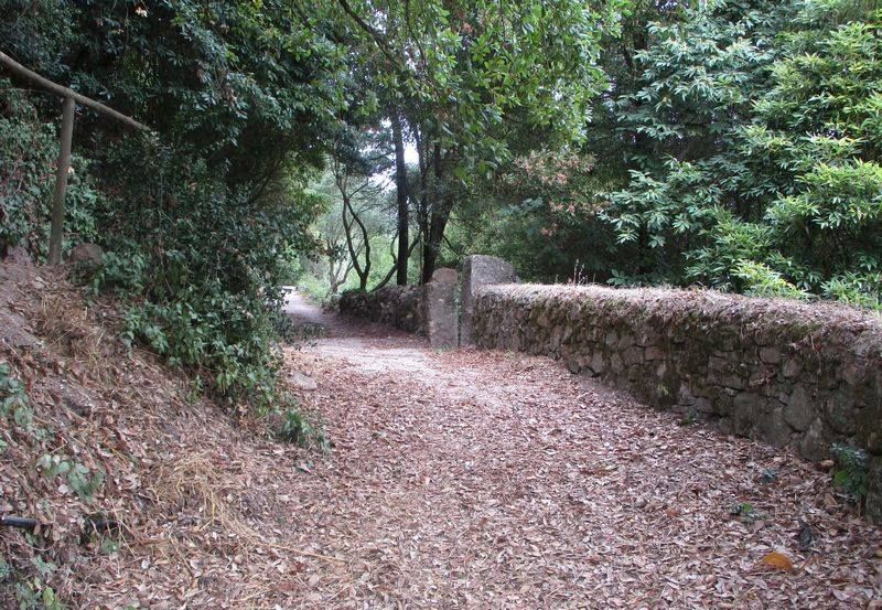 Caminhando da Barragem do Rio da Mula \u00e0 Aldeia do Penedo