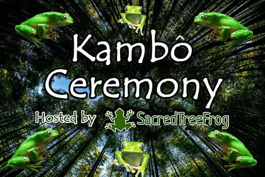 Kambo Ceremony - Bristol