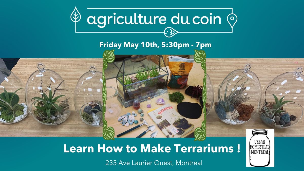 Learn how to make terrariums \ud83e\udeb4