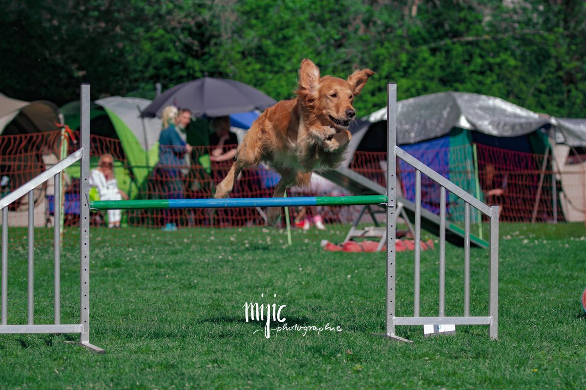 Agility-Fr\u00fchjahrsturnier 