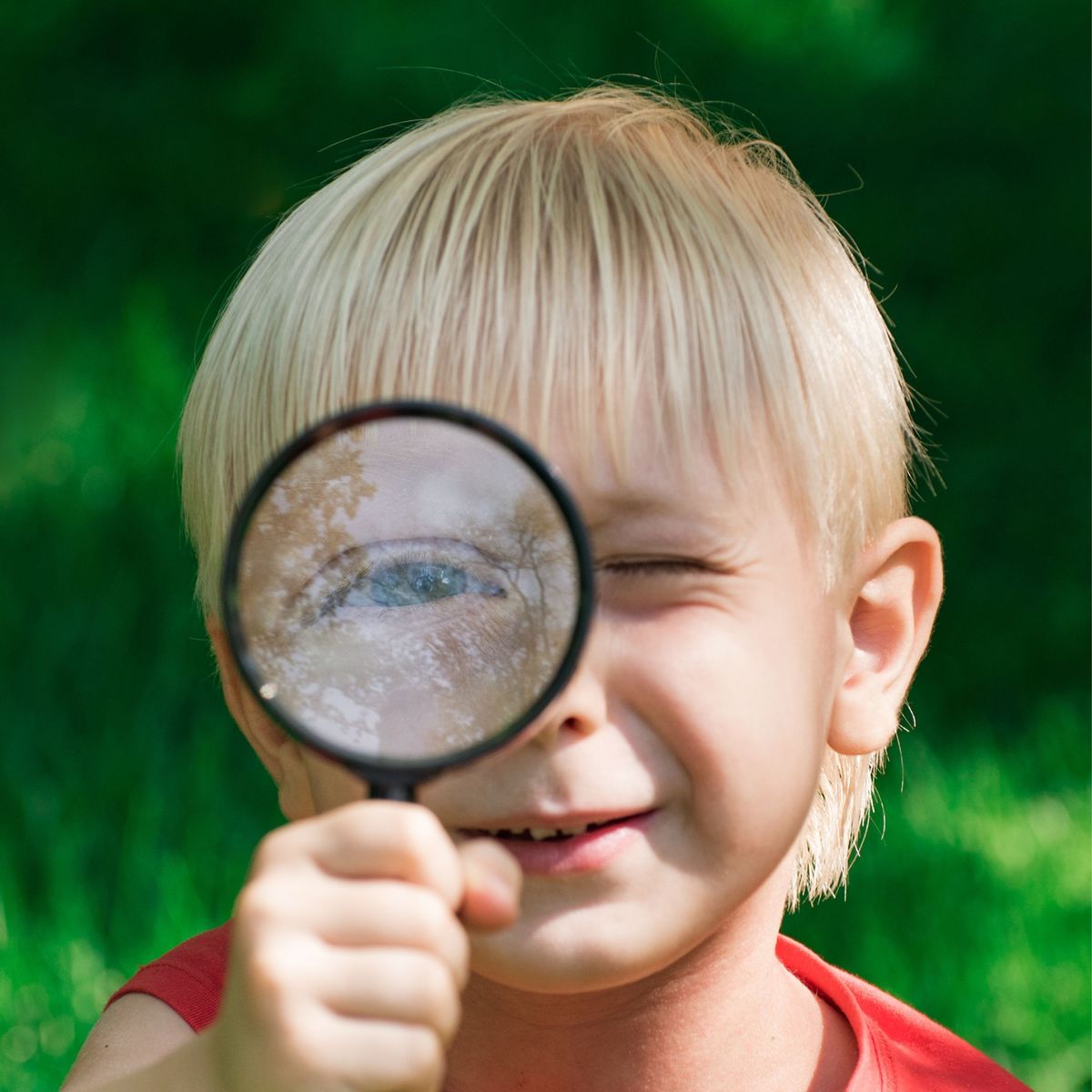 Science Family Fun At Blairgowrie Library