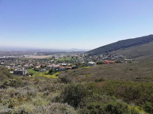 Tygerberg Nature Reserve Hike