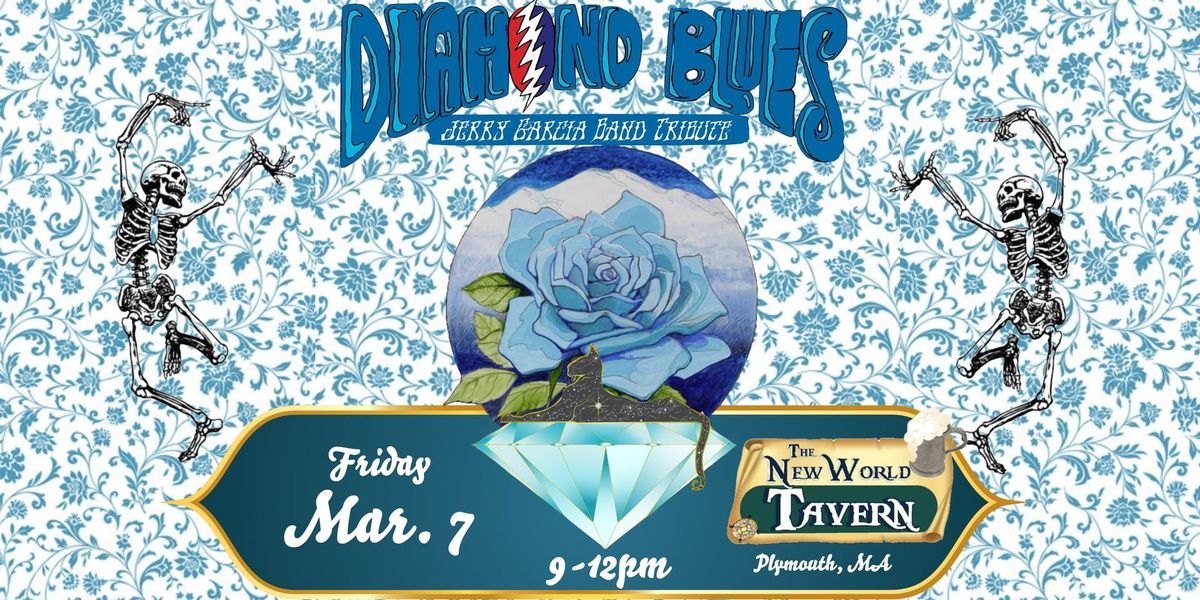 Diamond Blues (A JGB tribute) at New World Tavern