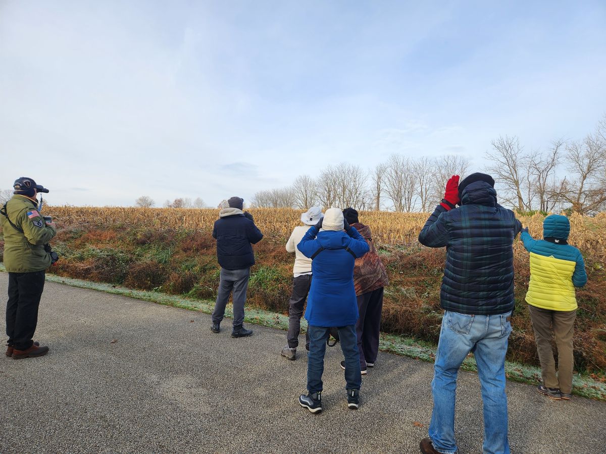 Monthly Bird Walk