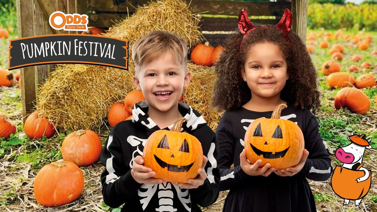 FREE Pumpkin for every child at Pumpkin Festival