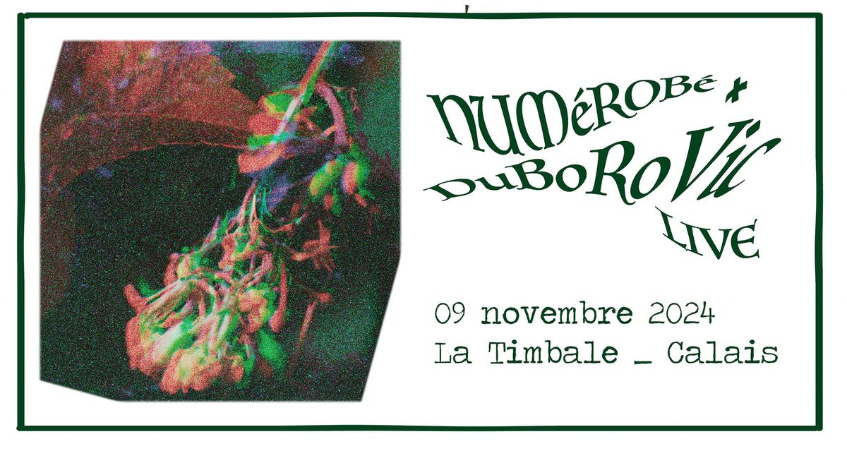 [concert] NUM\u00e9ROB\u00e9 + DuBoRoVic - Samedi 9 Novembre 2024