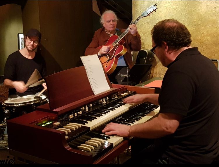 Vrijdagconcert:Dirk Van der Linden trio