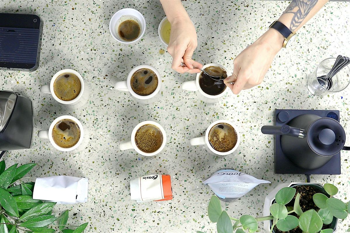 Taste the Origin: El Salvador Cupping Experience