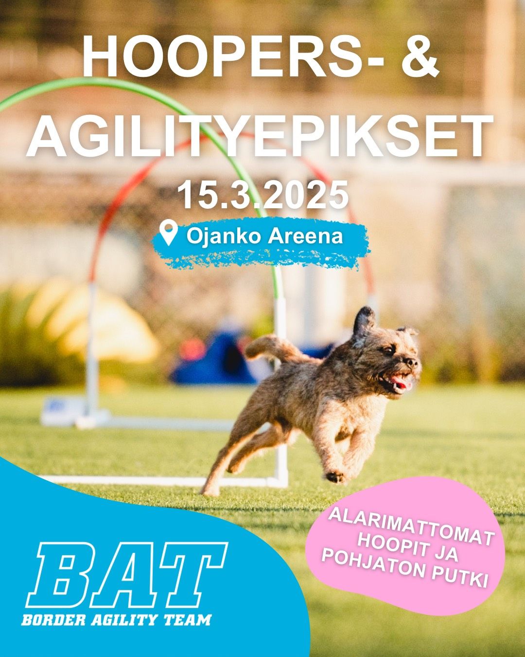 BAT Hoopers & agilityepikset 15.3.2025