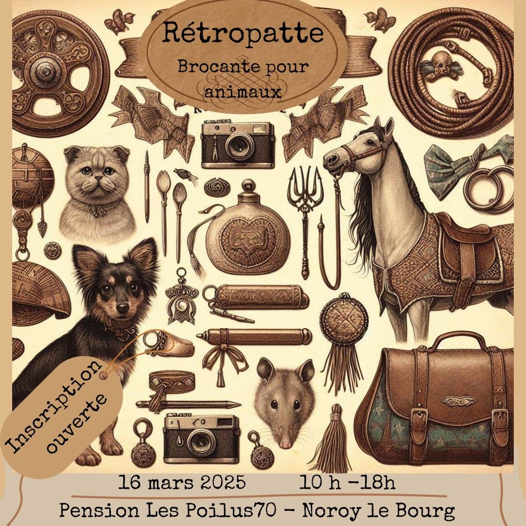 R\u00e9tropatte\ud83d\udc3e: La brocante pour animaux ! 16 mars 2025