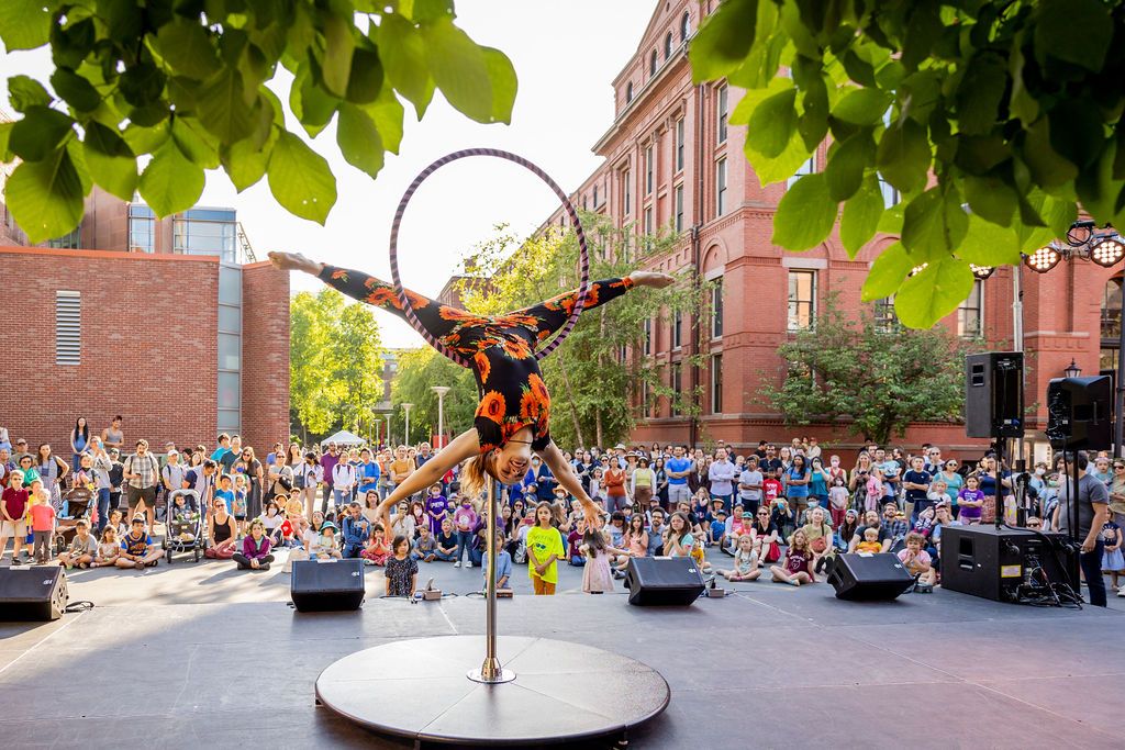 Free Summer Solstice 2024: Night at the Harvard Museums of Science & Culture