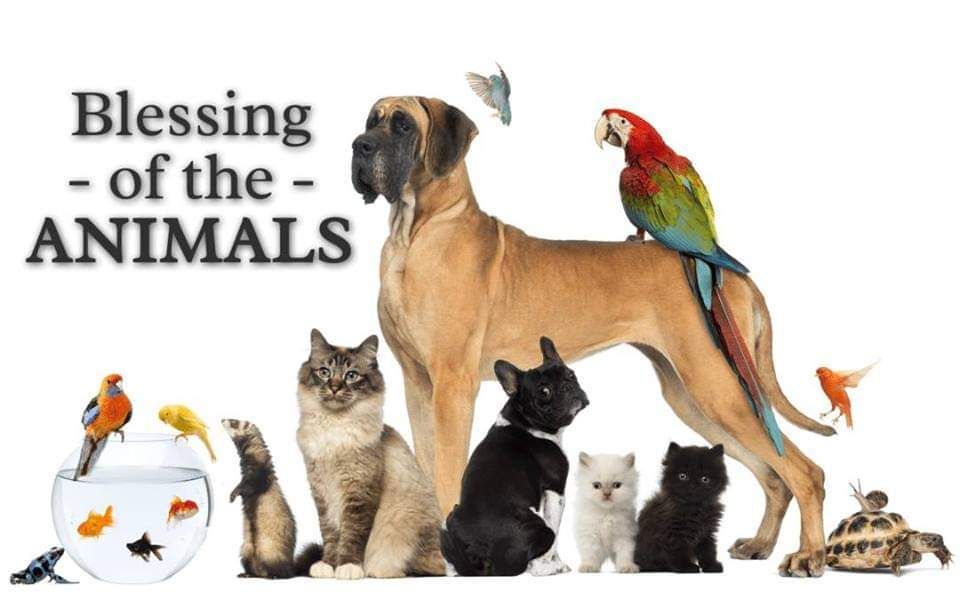 Blessing of the Animals!!!!