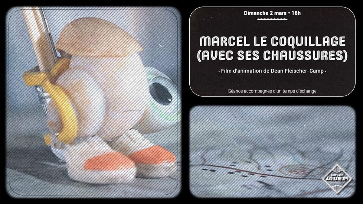 Marcel le coquillage (avec ses chaussures) \u2022 Film d'animation