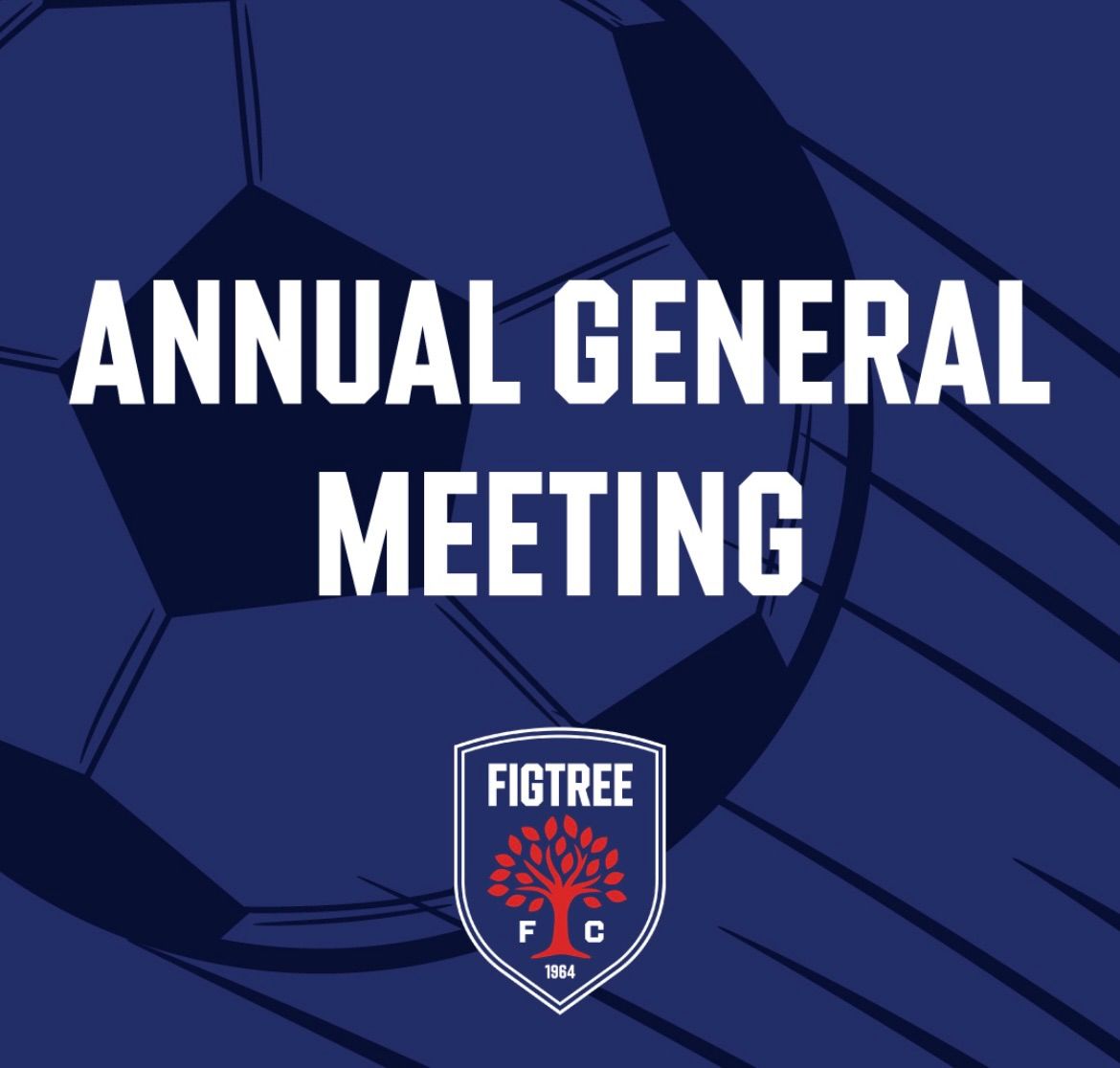 FIGTREE FC 2024 AGM