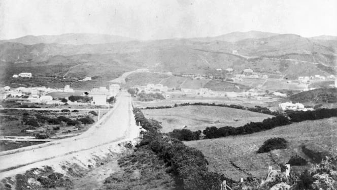 Newtown's Flora, Fauna, Land and Waterways