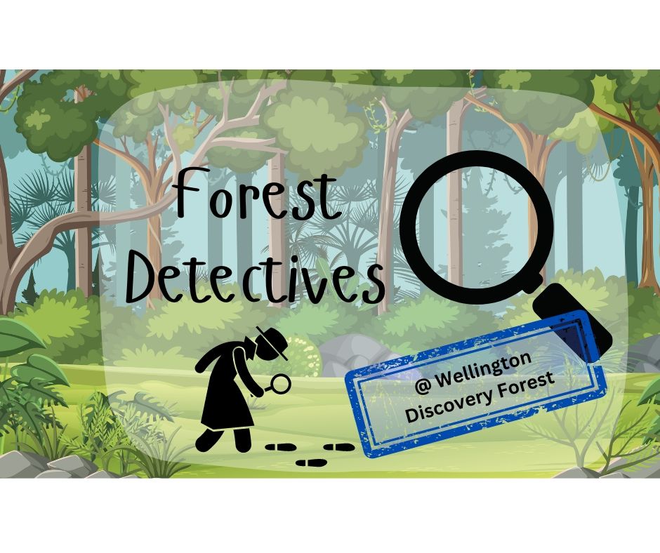 Forest Detectives + Sense Trail @ WDF