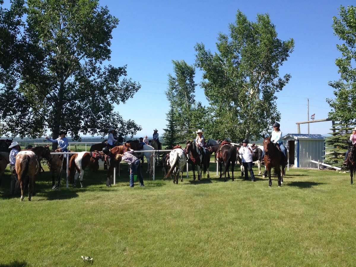 Springbank Equestrian Centre Clean-Up and Tack Swap