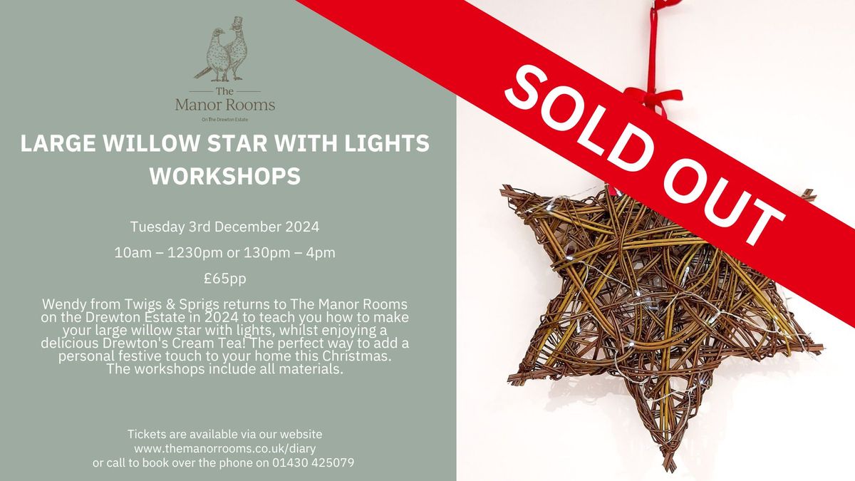 Large Willow Star With Lights Workshops