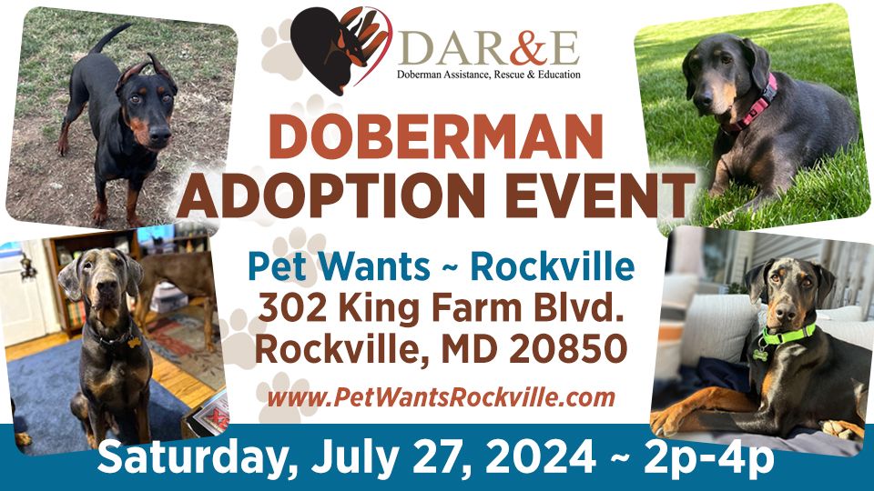 DAR&E Doberman Adoption Event