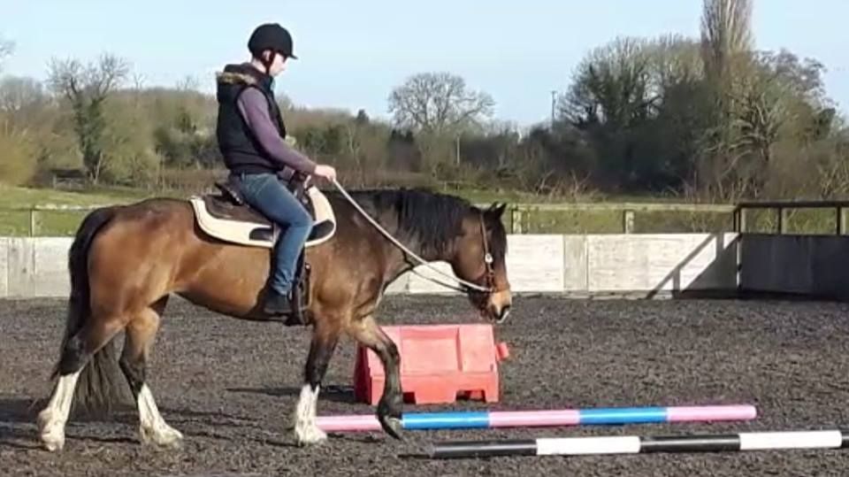 Introduction to Western Riding w\/ Rosca Horsemanship at Derby College Equestrian Centre 