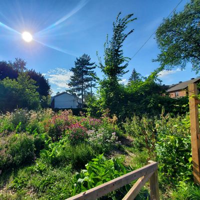 City Herbal Apprenticeship Program