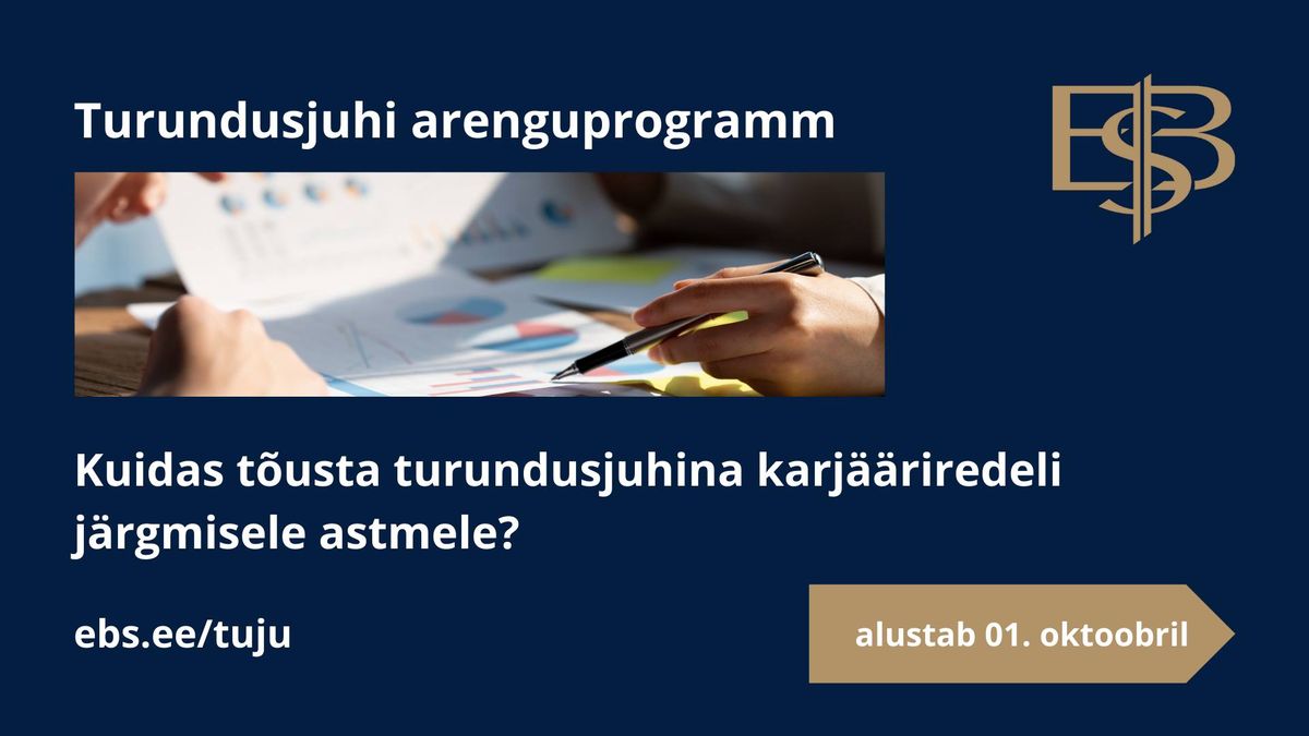 Turundusjuhi arenguprogramm