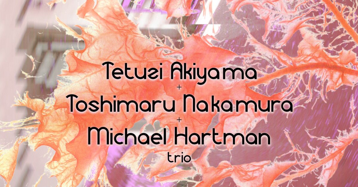 Sounds From the Black Hole: Tetuzi Akiyama + Toshimaru Nakamura + Michael Hartman trio w\/ Early Life