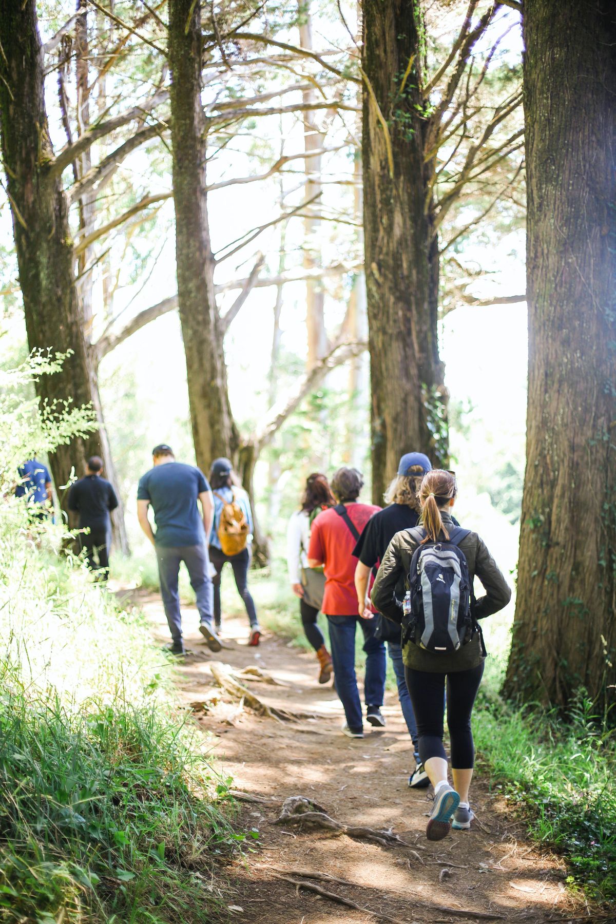 Walking Group Everyone Active