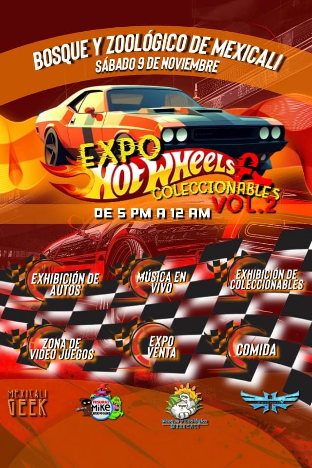 EXPO HOTWHEELS Y COLECCIONABLES V.2.