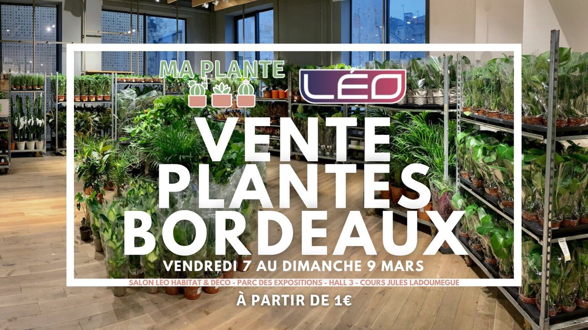 VENTE PLANTES BORDEAUX