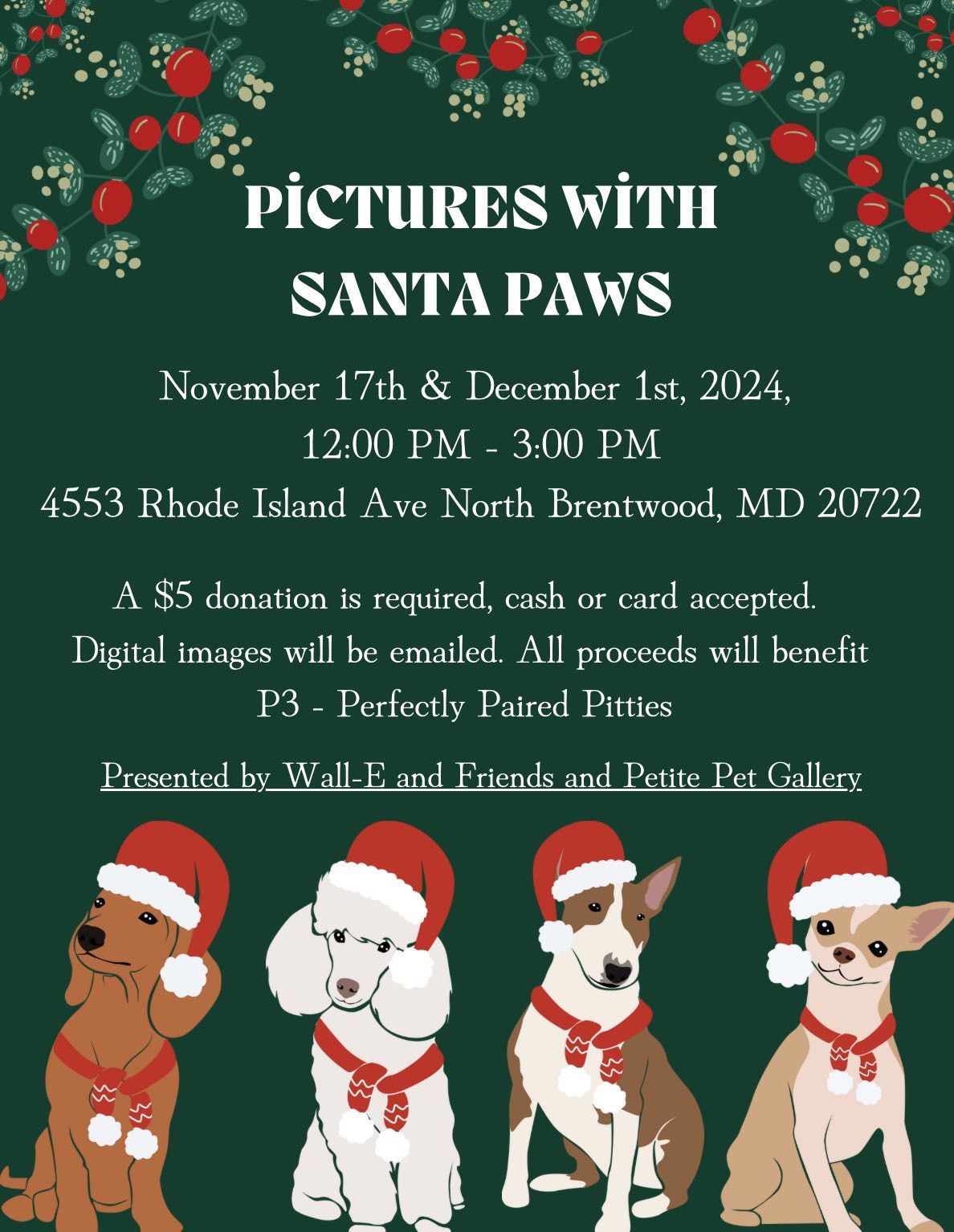 Pet pictures with Santa 