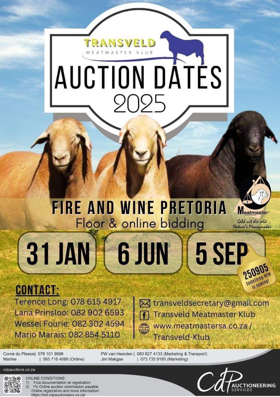 Transveld Meatmaster Club Auction