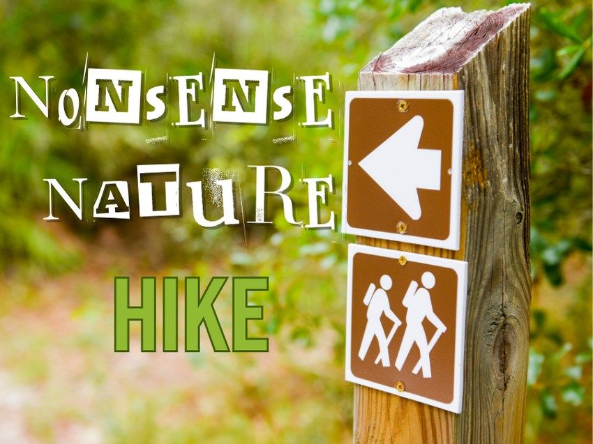 Nonsense Nature Hike