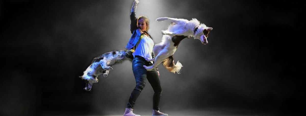 Mutts Gone Nuts - Aventura