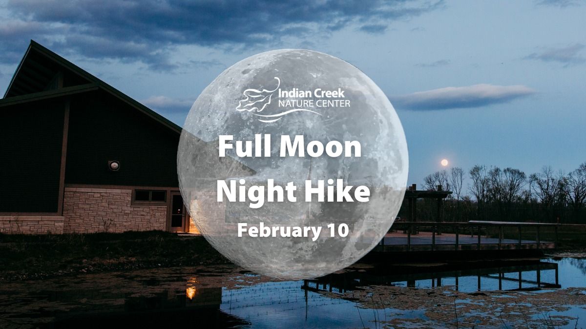 Full Moon Night Hike