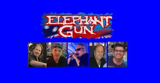 Elephant Gun at Maddys