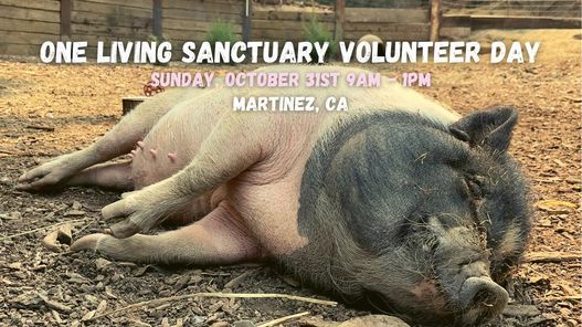 One Living Sanctuary Volunteer Day