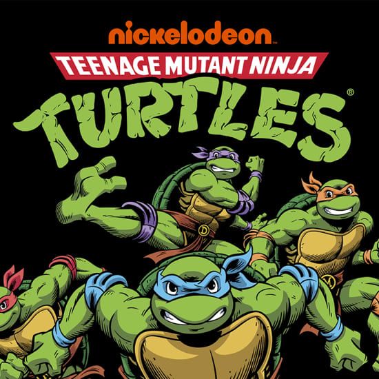 TMNT: Heroes in a Half Shell