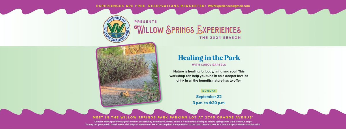 Willow Springs Experiences: Healing in the Park