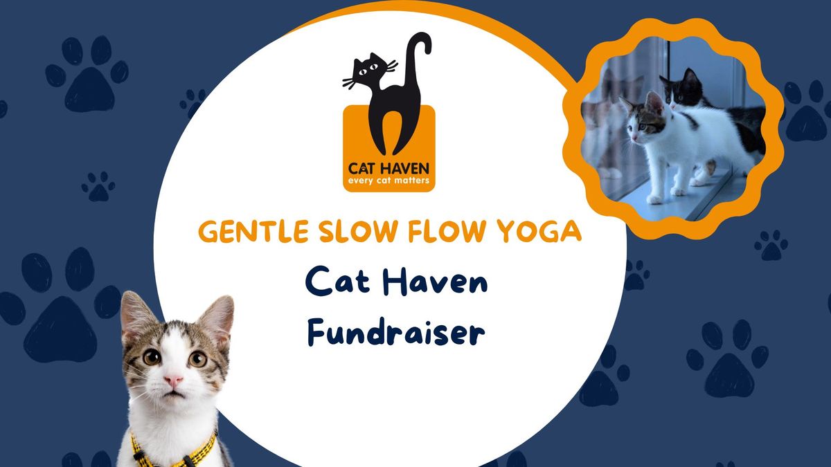 Gentle Slow Flow - Cat Haven Fundraiser