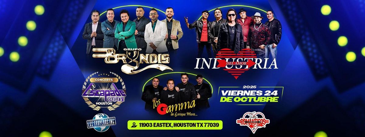 GRUPO BRYNDIS, INDUSTRIA DEL AMOR & MAS