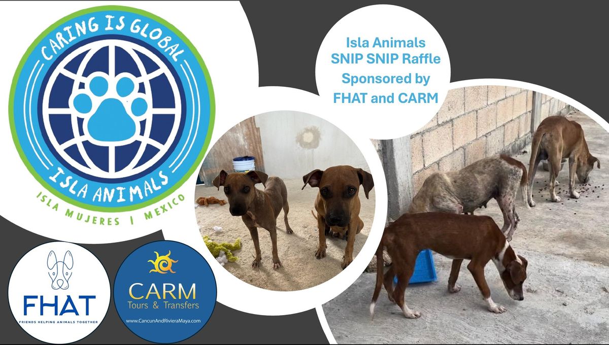 Isla Animals SNIP SNIP Raffle Draw