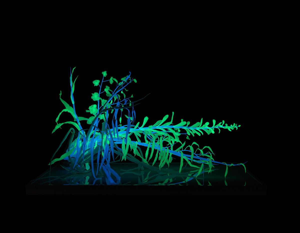 Artist Talk with Catherine Truman - Shared Reckonings